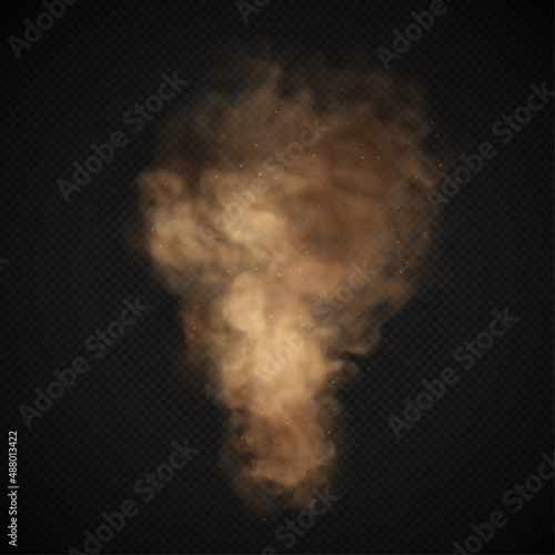 Dust sand cloud with stones and flying dusty particles isolated on transparent background. Brown dusty cloud or dry sand flying. Realistic vector illustration