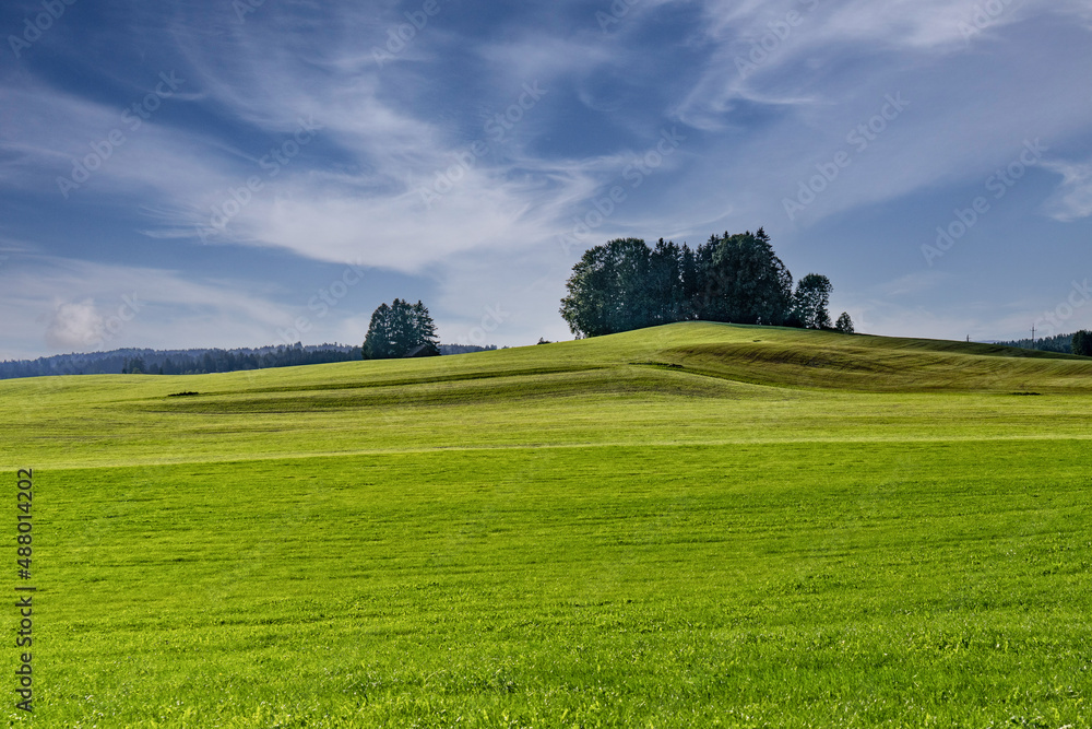 Weideland im Allgäu im Sommer Stock Photo Adobe Stock