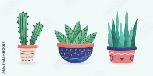  Set of suculents and cactus. Ceramic pot. Home decor. photo