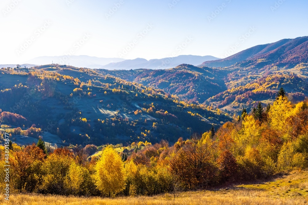 Grassy slopes with lush trees against mountains at sunset