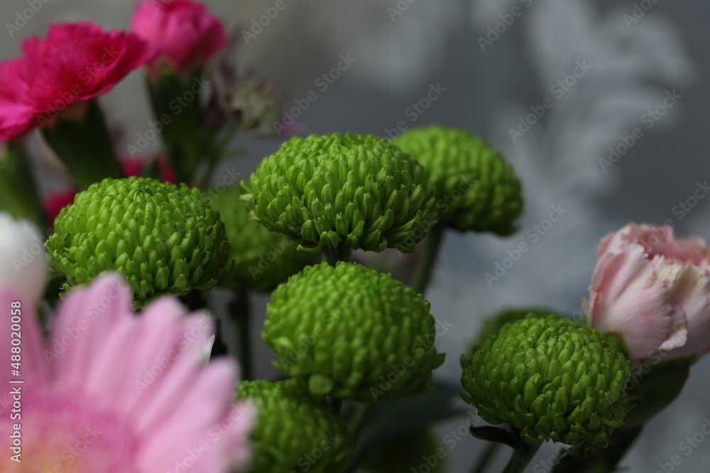bouquet of colorful chrysanthemums close-up bouquet of colorful chrysanthemums close-up