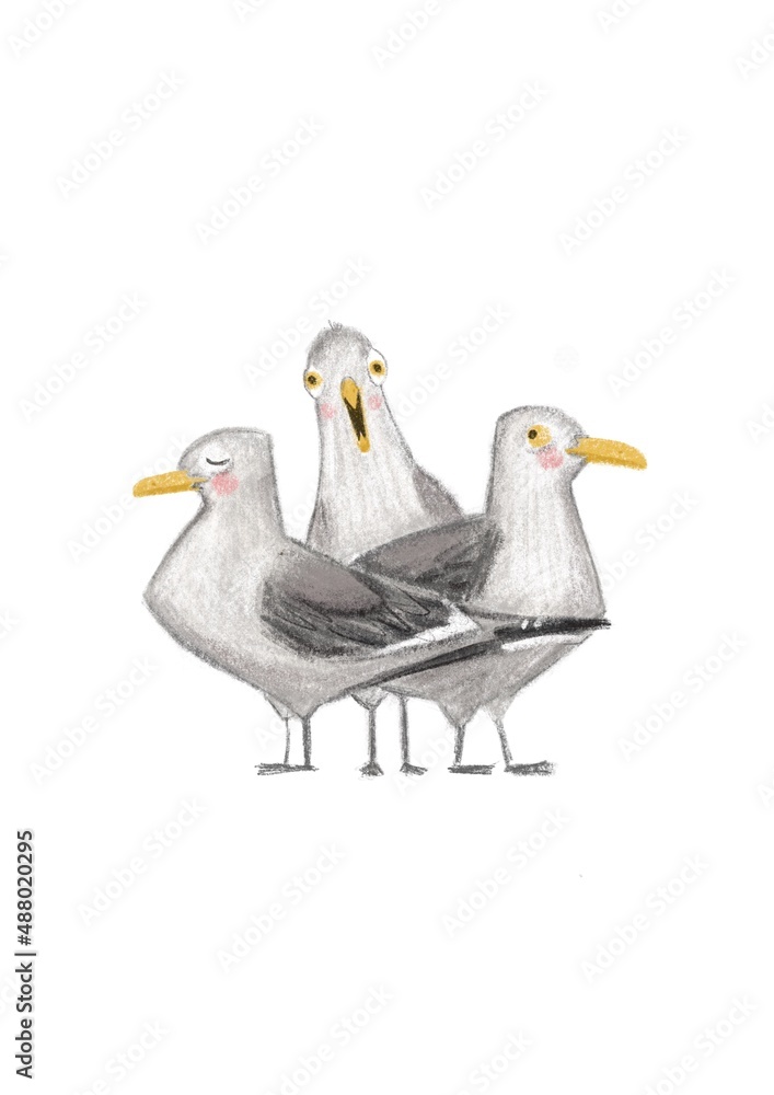 Fototapeta premium A flock of funny seagulls