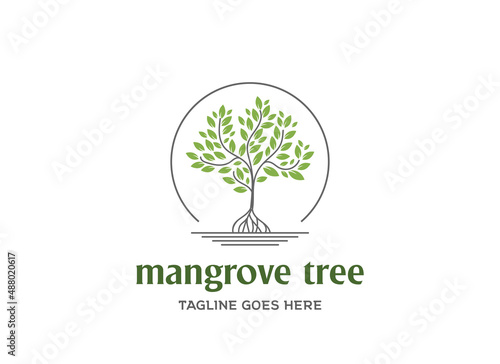 Fotografia Modern Green Mangrove Plant Tree for Garden Park Conservation Logo Design Vector