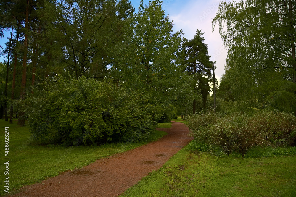 Obraz premium _DSC20210903Pl6