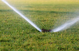 automatic water sprinkler that irrigates the lawn in the evening sun
