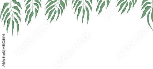 Floral web banner with drawn color exotic leaves. Nature concept design. Modern floral compositions with summer branches. Vector illustration on the theme of ecology  natura  environment
