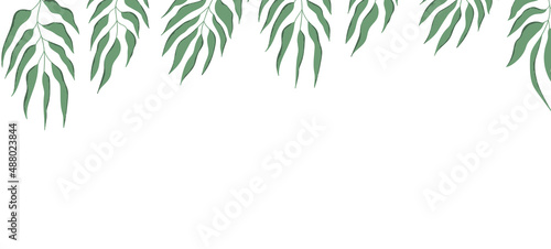 Floral web banner with drawn color exotic leaves. Nature concept design. Modern floral compositions with summer branches. Vector illustration on the theme of ecology, natura, environment