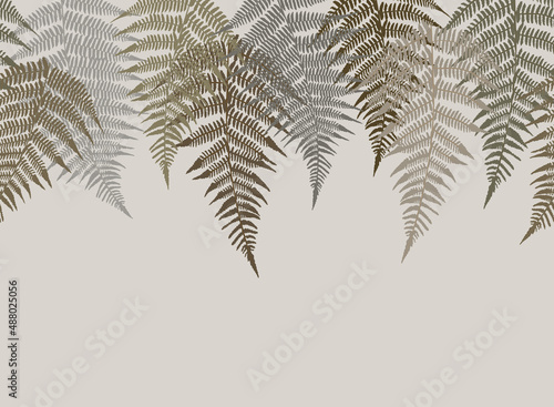 Seamless border with fern leaves. Classical grassy organic pattern. Different leaves on a light background. Vector print for design.