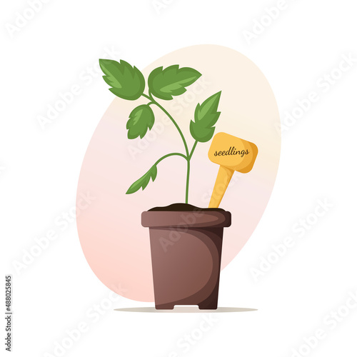 Green sprout in seedlings pot. Houseplants, gardening. Cultivation of garden plants. Preparing for spring, planting plants. Growing process. Vector illustration for poster, banner, cover, card