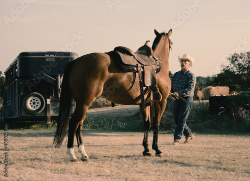 Texas cowboy during summer on rural ranch training bay mare horse with saddle on for riding through horsemanship.