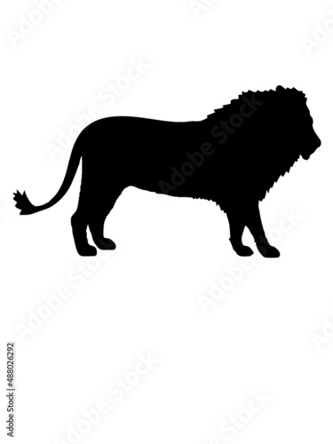 Männlicher Löwe Silhouette 