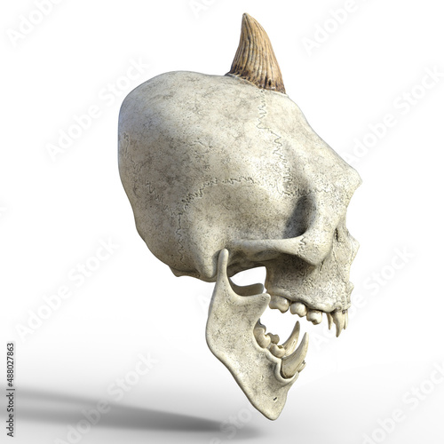 3D illustration over white of an ancient skull of a fantasy cyclops
