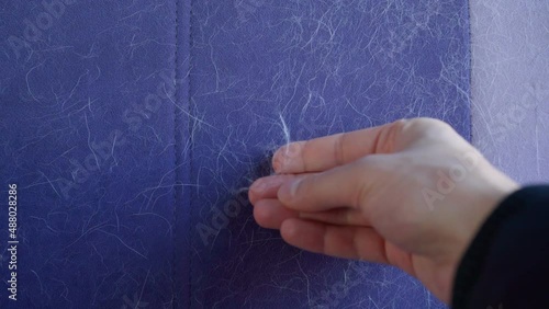 Wool, dog hair, on furniture, car seat. Pet care and pet grooming