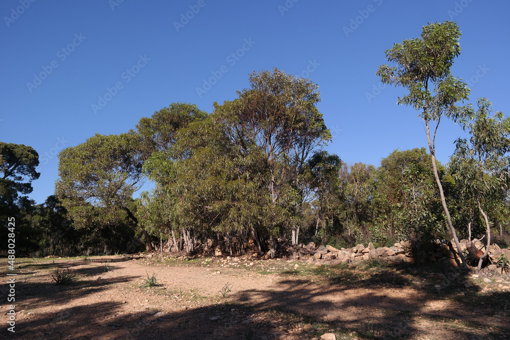 Paesaggio campestre