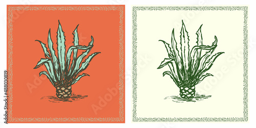 Agave vintage retro poster illustration