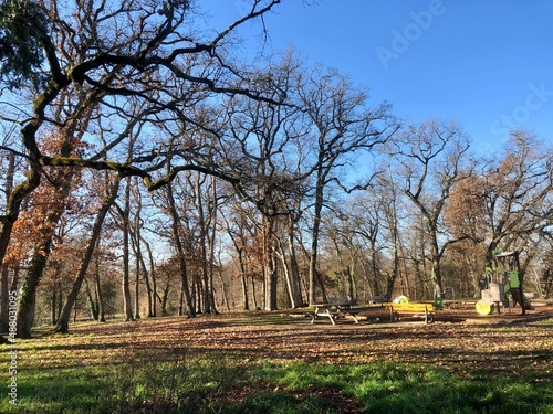 autumn in the park