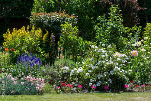 Fototapeta Naklejka Na Ścianę i Meble -  An East Grinstead Garden in Full Bloom