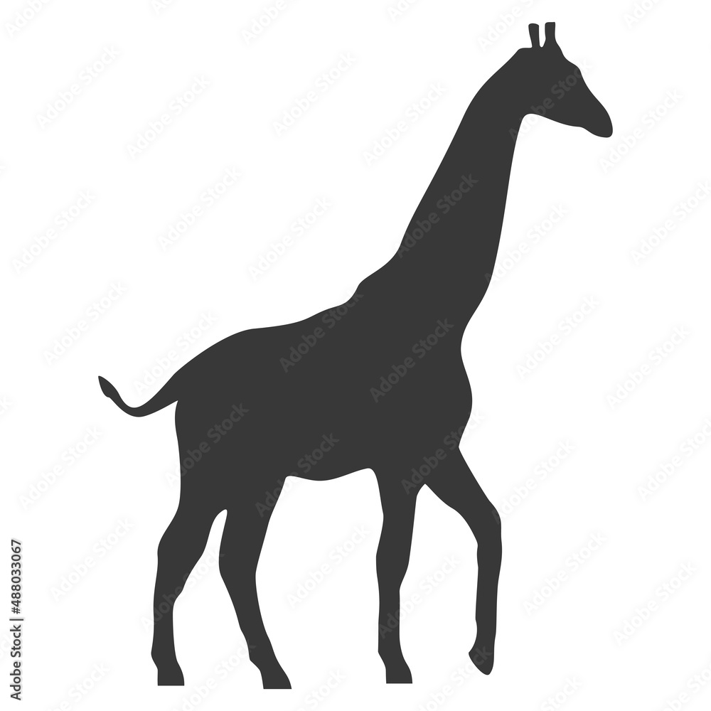 Fototapeta premium Giraffe silhouette, icon. Vector illustration isolated on white background.
