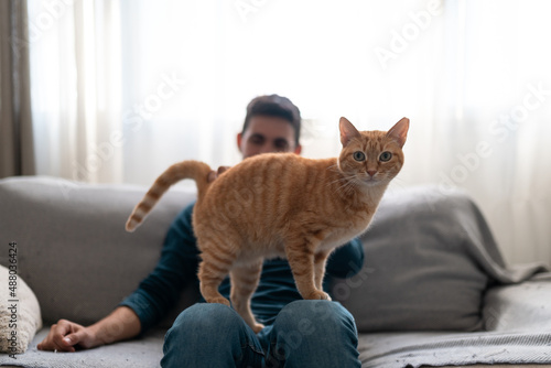 brown tabby cat with green eyes standing on the knees of a young man photo