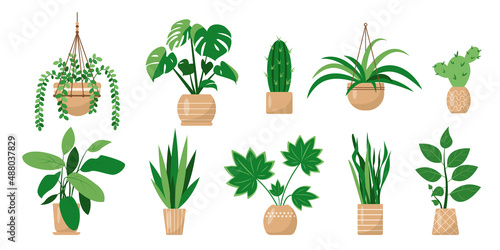 Indoors decorative house plants or flowers in pots. Home or office garden with Cactus, Succulent and tropical leaves. Flat or cartoon icons vector illustration for home decor and botanical design.