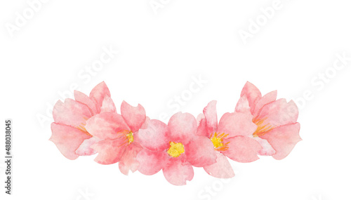 Watercolor sakura blossom illustration on isolated white background. Cherry blossom clip-art