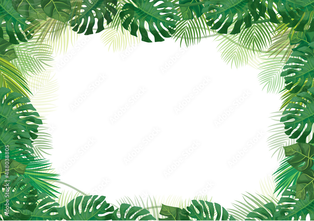 Vector green, tropical leaves border, isolated on white. Exotic leaves frame.