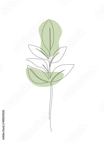 a minimalist leaf design. very simple and unique 
