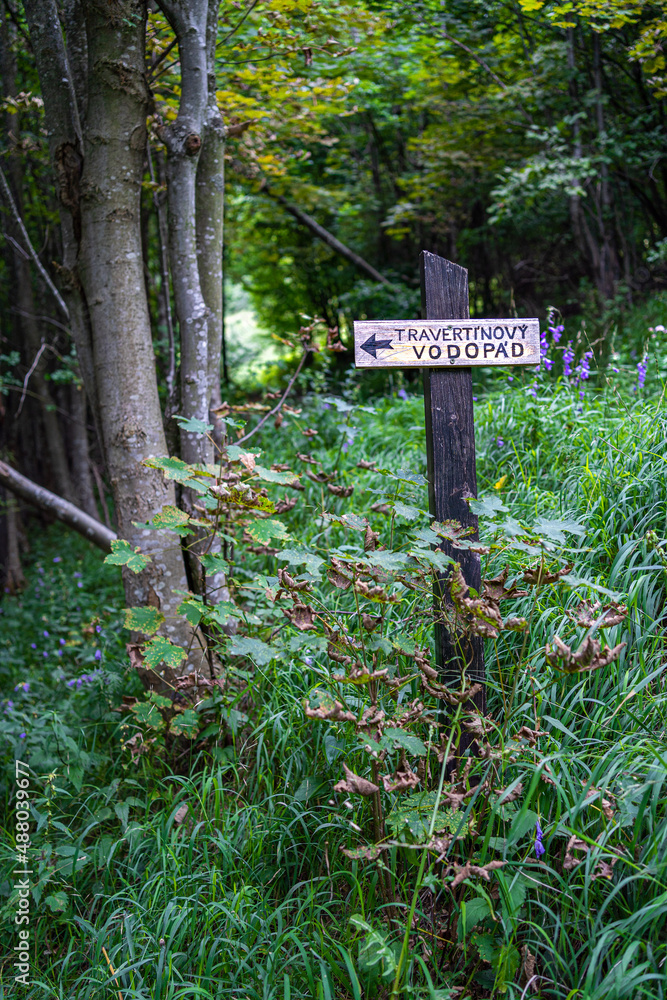 sign in the forest