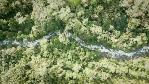 Panorámica sobre rio en medio del bosque.