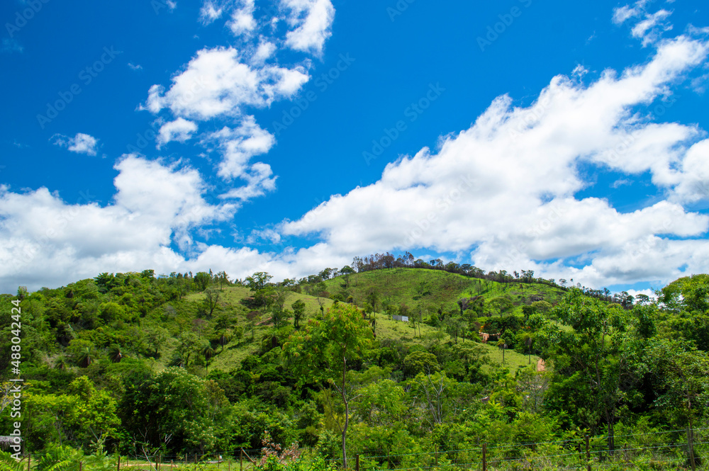Beautiful landscape with trees, blue sky, clouds