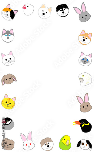 A frame of animals  cats  dogs  rabbits  and birds