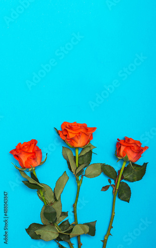 Arrangement of beautiful roses as a greeting card