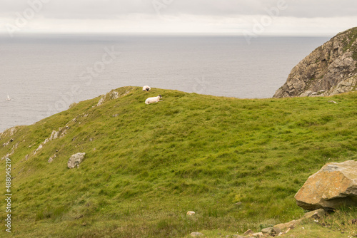 Panorama irlandese con oceano e scogliere photo