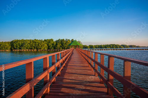 The forest mangrove with wooden walkway bridge,Red bridge and bamboo line,Tropical Climate, Reflection, Summer, Asia, Thailand,Bridge - Built Structure, Footbridge, Forest, Tropical Climate, Woodland 