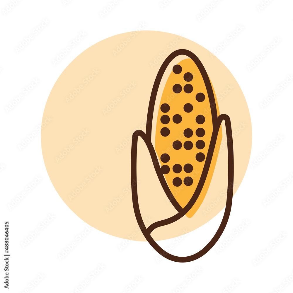 Corncob vector isolated flat icon Corncob vector isolated flat icon