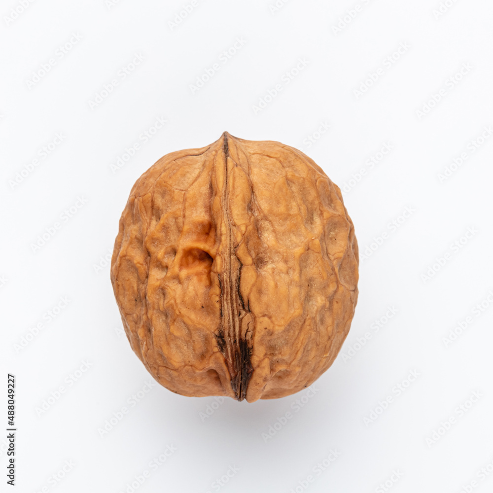 Fototapeta premium One single Walnut on white background.