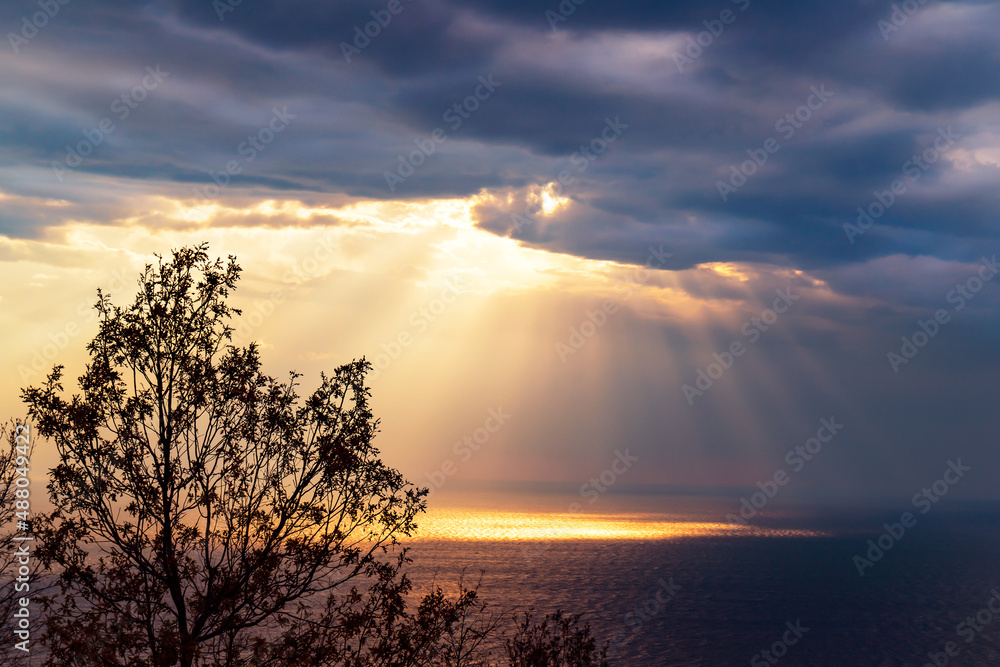 Golden sun rays getting through the dark heavy clouds and reflecting in water. Beautiful view of dramatic sky over sea and tree in foreground.