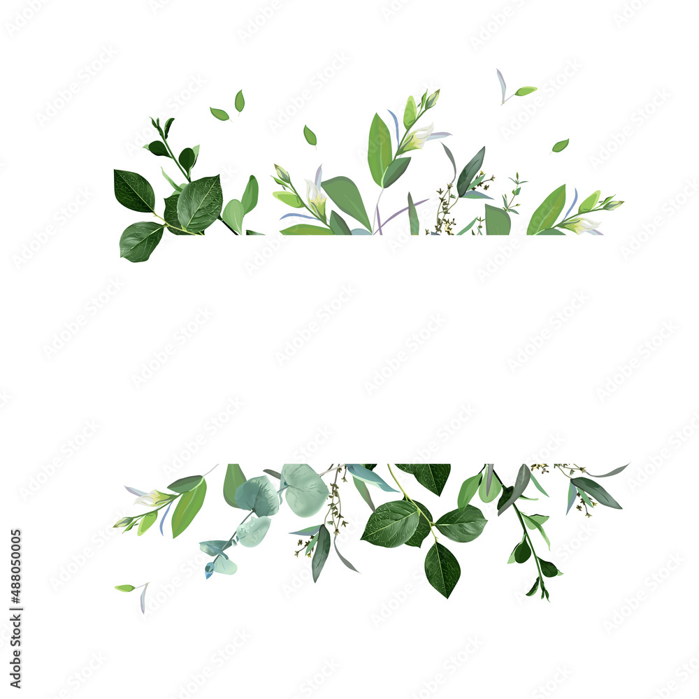 Herbal horizontal vector frame. Hand painted plants - obrazy, fototapety, plakaty 