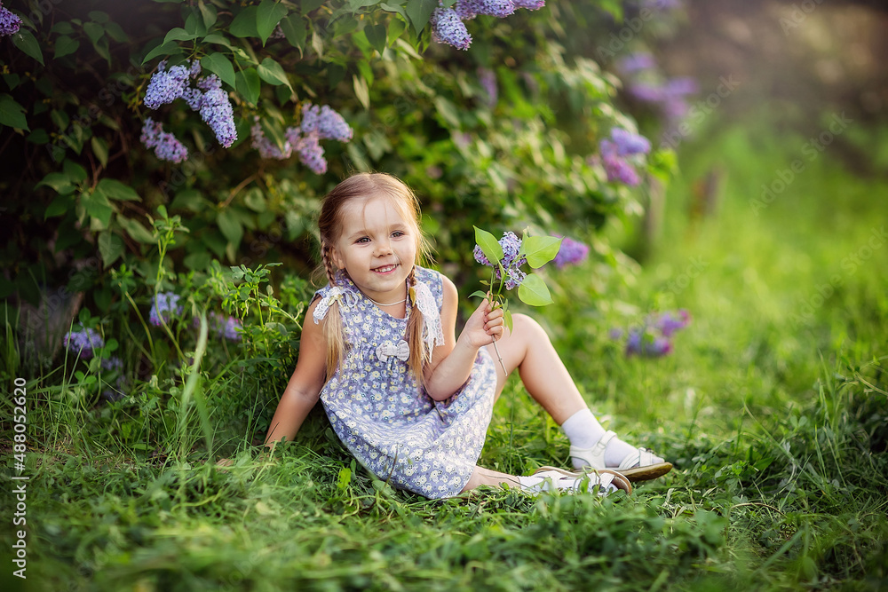 girl, may, spring, lilac blooms girl, may, spring, lilac blooms