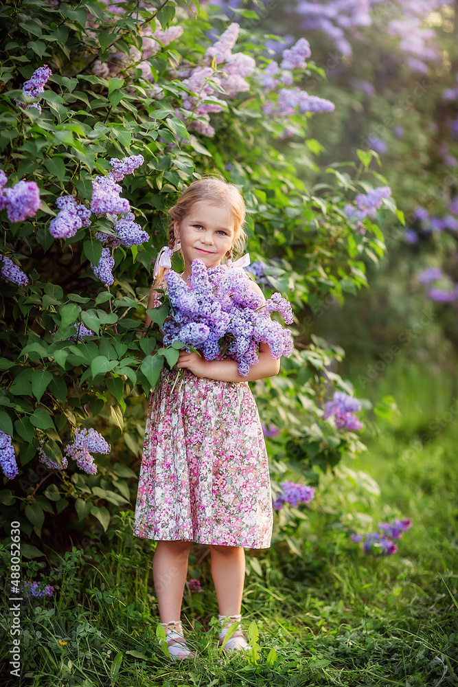 girl, may, spring, lilac blooms girl, may, spring, lilac blooms