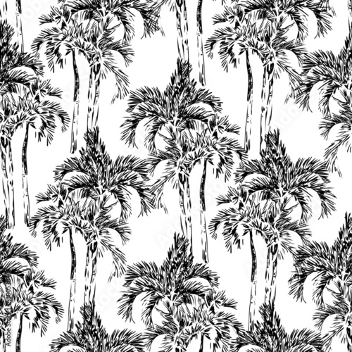 Seamless pattern vintage hand drawn illustration with palm tree in engraving style. Sketch of a tree isolated on white background.