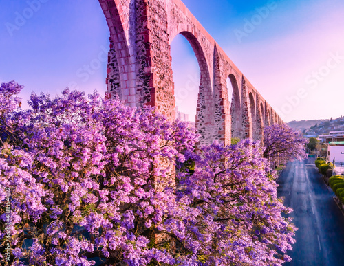 Los Arcos de Querétaro en Primavera, Jacaranda México