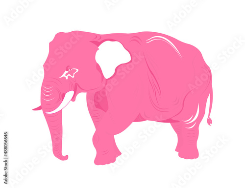 pink elephant isolated on white