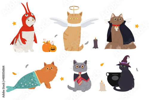 Cute cats in spooky Halloween costumes set. Scary kittens in costume crab, witch, dracula angel and wizard. Creepy animals for holiday. Cartoon flat vector collection isolated on white background