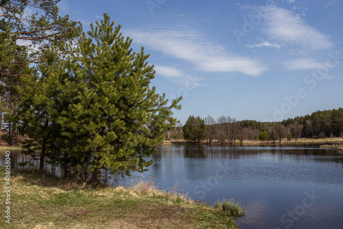 early spring, water, lake shore, nature, spring landscape
