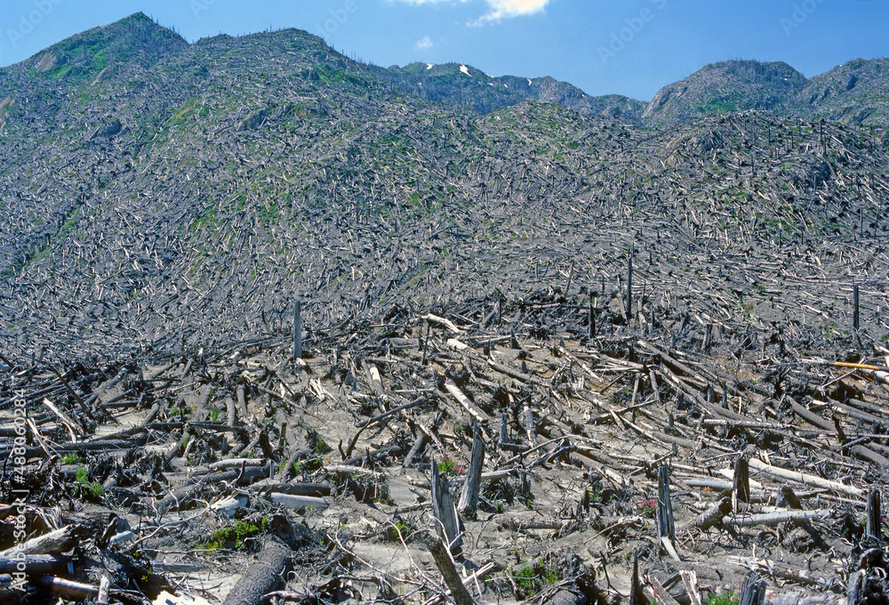 Devastation at Mt St Helens