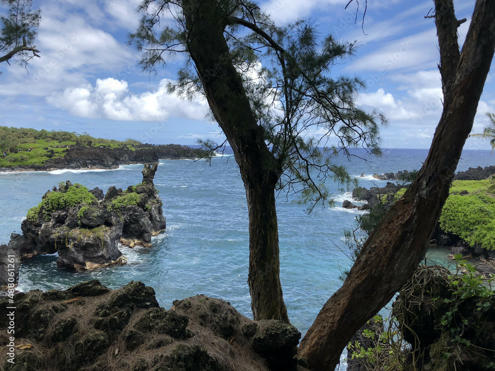 Hawaii Ocean Shore Hawaii Ocean Shore