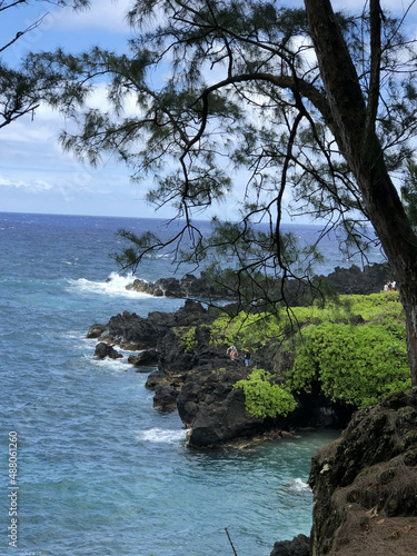 Hawaii Ocean Shore