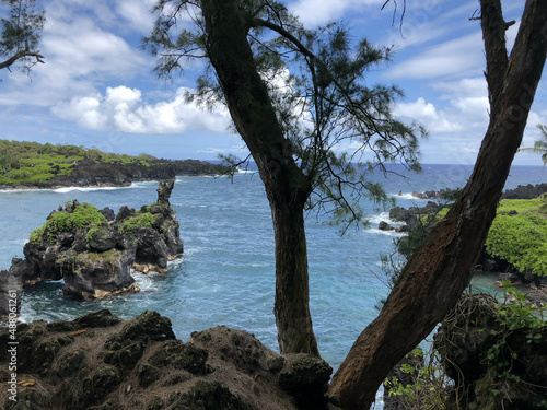 Hawaii Ocean Shore