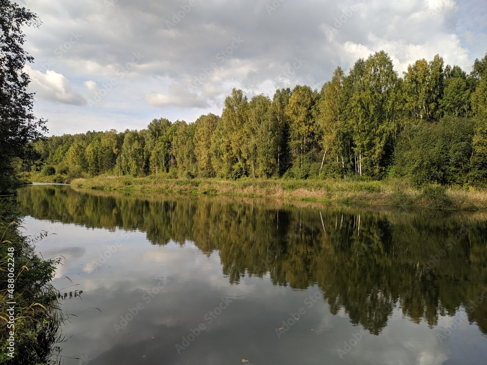 reflection of trees in the water